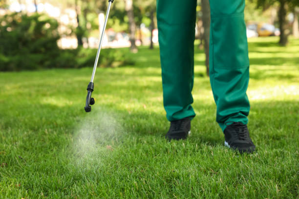 Best Insect Control  in Wesleyville, PA